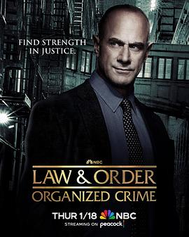 法律与秩序：组织犯罪第四季在线观看地址及详情介绍