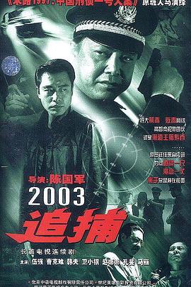 追捕2003海报