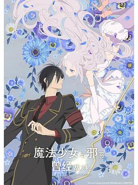 魔法少女与恶曾是敌人。12集