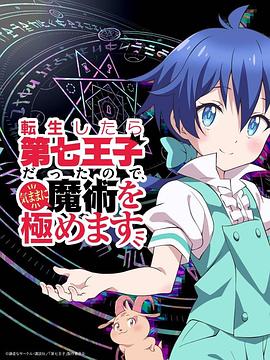 转生七王子的魔法全解12集