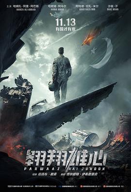 翱翔雄心}