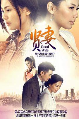 贤妻2013}