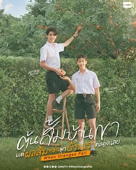 当橘子掉落时}