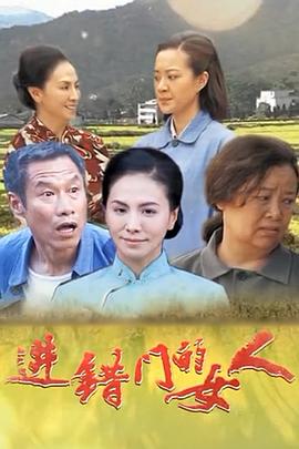 进错门的女人,进错门的女人电影